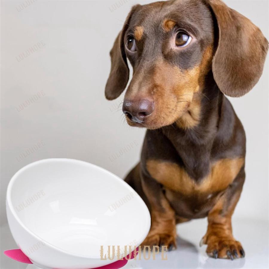 犬 食器 陶器 犬用 食事 フレンチブルドッグ皿 犬用皿 いぬ フレンチブルドッグ 専用 フードボウル ペット 餌入れ ペット用 水入れ |  | 05
