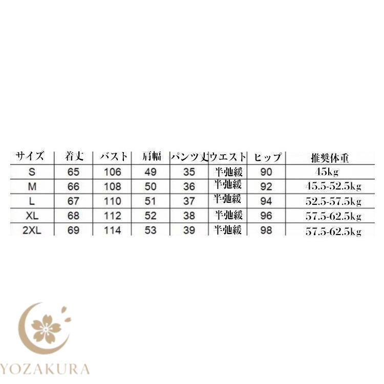 セットアップ 春 サブカル 半袖シャツ 地雷系 薄手 レディース パンツ ス かわいい サブカル ブラウス 服 量産型 ゆったり 秋 夏 可愛い | ブランド登録なし | 16