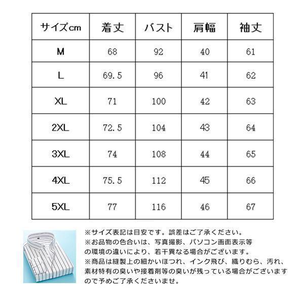 ワイシャツ 長袖 ボタンダウン ストライプ 形態安定 メンズ Yシャツ シャツ 紳士 お洒落 ビジネス レギュラー ノンアイロン 形状記憶 | ブランド登録なし | 13