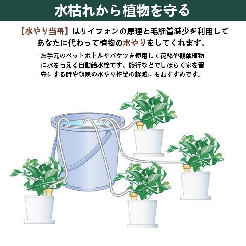 水やり当番 小型 自動給水器 植物 水やり器 水遣り 自動水遣り器 鉢植え 園芸 ガーデニング 留守用 水やり 旅行 水遣り機 自動散水システム 留守 | ブランド登録なし | 02