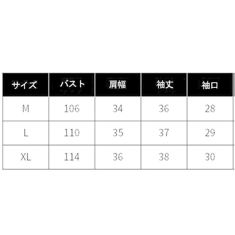 バックリボン ランタンスリーブ ブラウス トップス レディース 半袖 カットソー | ブランド登録なし | 22