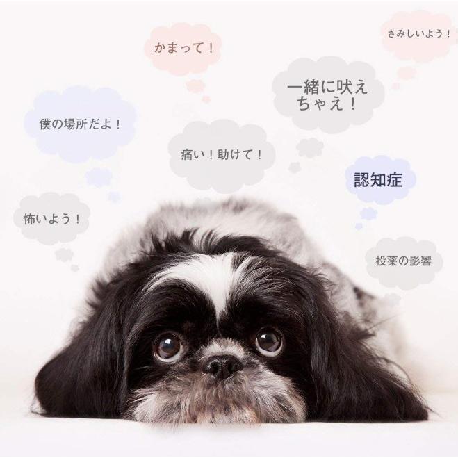 犬 しつけ 無駄吠え 防止 音波 吠え防止グッズ 躾 付きトレーニング グッズ ペット 音感センサー 自動感知 | ブランド登録なし | 09