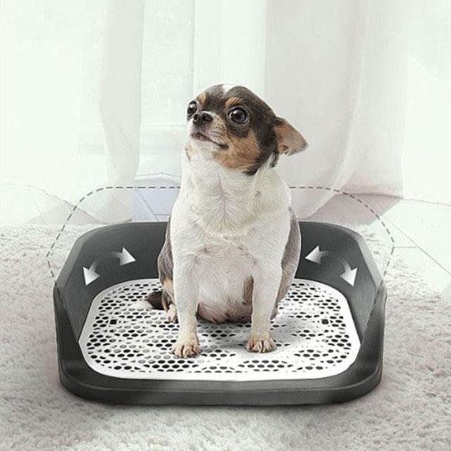 犬トイレ 犬 トイレ 犬用トイレ トイレ容器 トイレ本体 トレーニング Lサイズ おしゃれ トイレトレーニング 犬のトイレ ペットトレー トイレトレー | ブランド登録なし | 02
