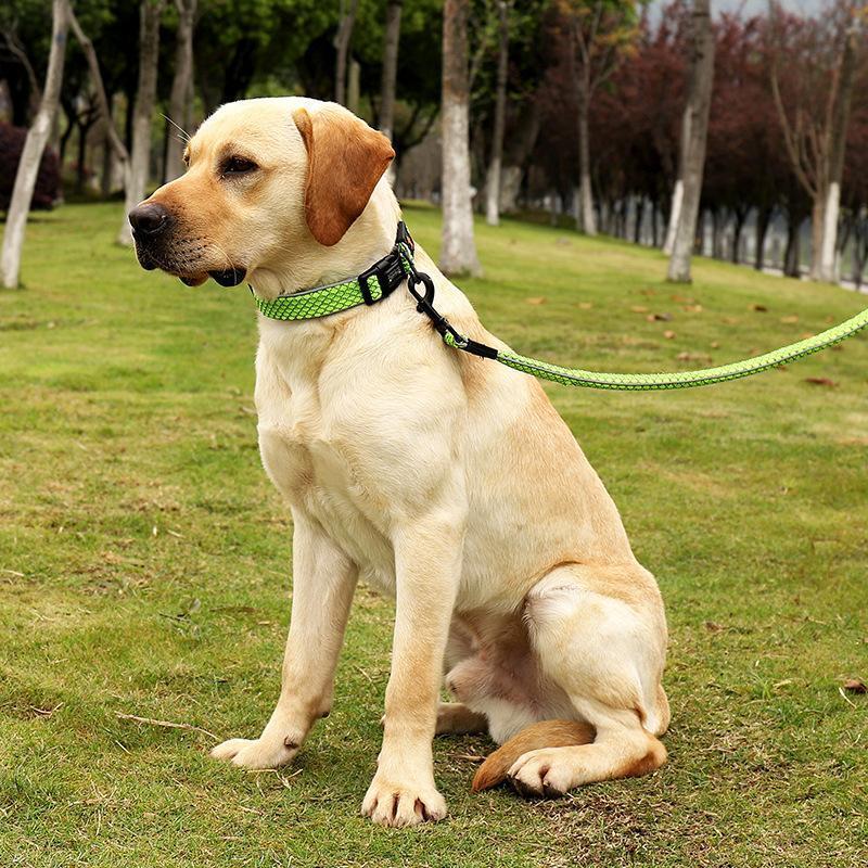 首輪 リード 散歩紐 2点セット 小型犬 大型犬 ペットグッズ ペット用品 プラバックル 反射材 ソフト やわらか 総柄 ウェーブ ブラック オレンジ | ブランド登録なし | 01