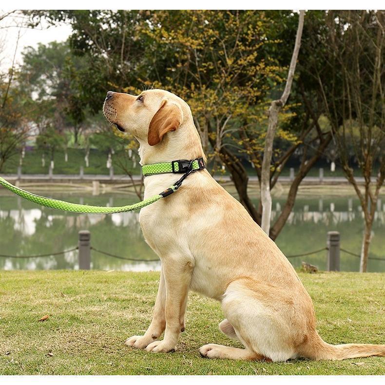 首輪 リード 散歩紐 2点セット 小型犬 大型犬 ペットグッズ ペット用品 プラバックル 反射材 ソフト やわらか 総柄 ウェーブ ブラック オレンジ | ブランド登録なし | 02