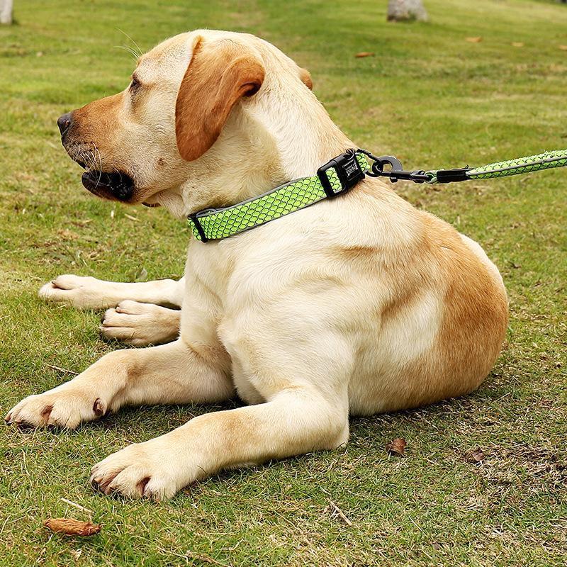 首輪 リード 散歩紐 2点セット 小型犬 大型犬 ペットグッズ ペット用品 プラバックル 反射材 ソフト やわらか 総柄 ウェーブ ブラック オレンジ | ブランド登録なし | 03