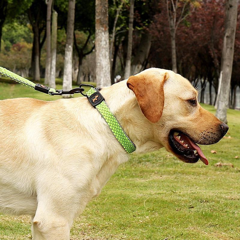 首輪 リード 散歩紐 2点セット 小型犬 大型犬 ペットグッズ ペット用品 プラバックル 反射材 ソフト やわらか 総柄 ウェーブ ブラック オレンジ | ブランド登録なし | 04