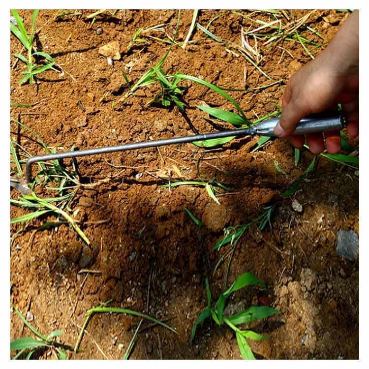 雑草取り ガーデンツール 道具 除草ツール 草取り くわ ガーデン 除草ツール 雑草抜き 草取り器 菜園鍬 便利 グッズ 芝生 庭 4歯?草抜き ガー | ブランド登録なし | 13