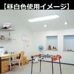 ホタルクス Hotalux サンホワイト5 FLR40SN/M 25本入 (FLR40SNM) 昼