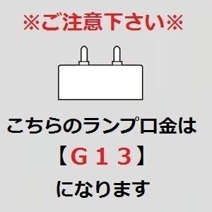 Panasonic（パナソニック） ハイライト FL20S・WRF3 白色 直管スタータ