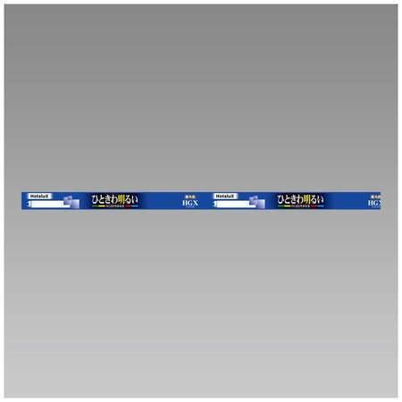 ライフルックHG（ホタルクス） Hotalux FL20SSEX-D/18-X2 昼光色