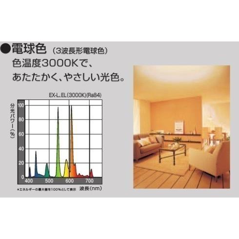 ライフルックHG（ホタルクス） Hotalux FL20SSEX-L/18-X2 電球色