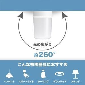 YAZAWA YAZAWA LED電球 LDT8NGE17 昼白色 T形 60W形 E17口金