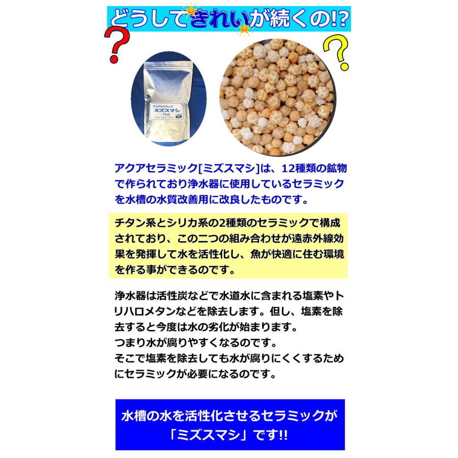 アクアセラミック ミズスマシ 1kg 水槽 水質改善 水槽浄化 2ヶ月交換不要 Mizusumashi 日本アクティブ通販ショップ 通販 Yahoo ショッピング