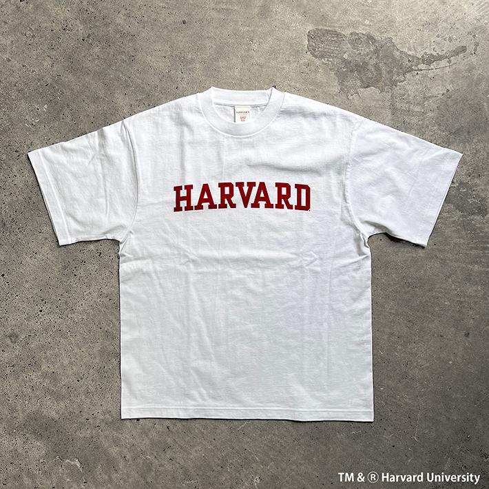 HARVARD ハーバード Over-Sized College T-Shirt ビッグシルエット カレッジ Tシャツ 7.1oz ラギットT メンズ レディース カレッジ ロゴ アメカジ ブランド | UCLA | 02