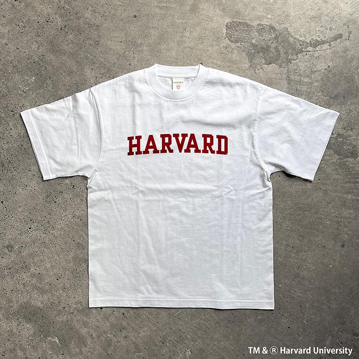 HARVARD ハーバード Over-Sized College T-Shirt ビッグシルエット カレッジ Tシャツ 7.1oz ラギットT メンズ レディース カレッジ ロゴ アメカジ ブランド｜activegeneration｜03