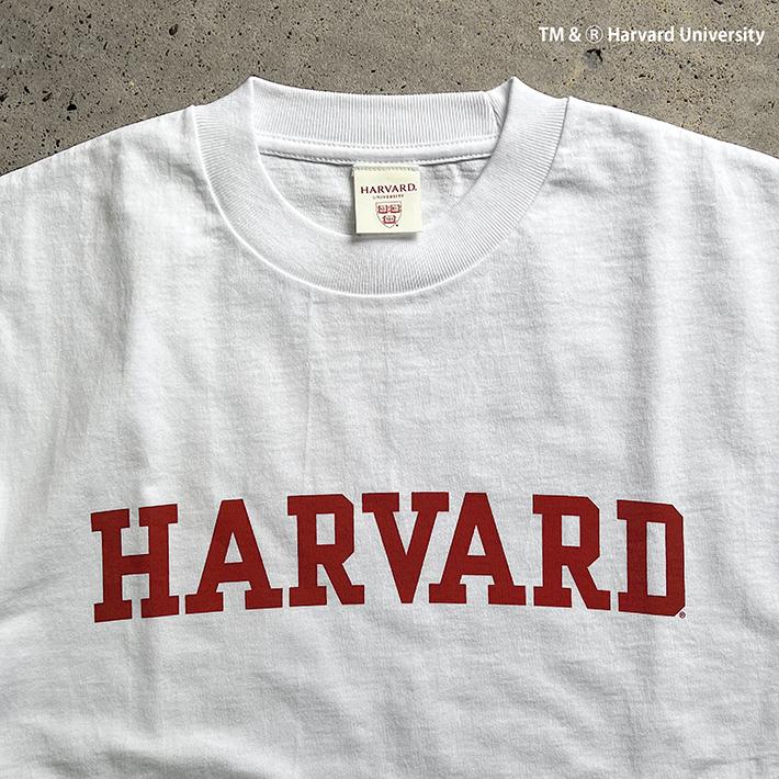 HARVARD ハーバード Over-Sized College T-Shirt ビッグシルエット カレッジ Tシャツ 7.1oz ラギットT メンズ レディース カレッジ ロゴ アメカジ ブランド | UCLA | 03