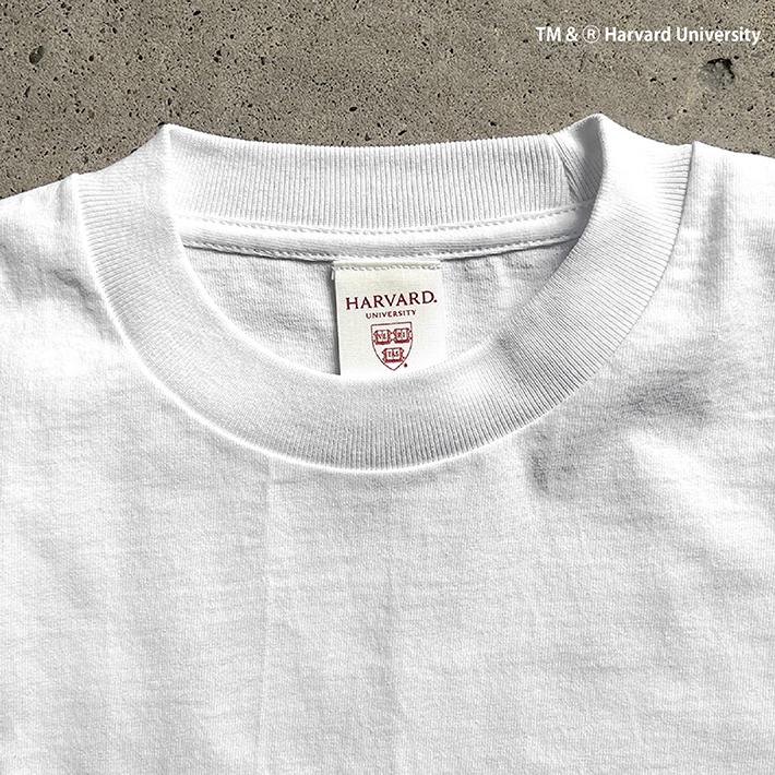HARVARD ハーバード Over-Sized College T-Shirt ビッグシルエット カレッジ Tシャツ 7.1oz ラギットT メンズ レディース カレッジ ロゴ アメカジ ブランド | UCLA | 04