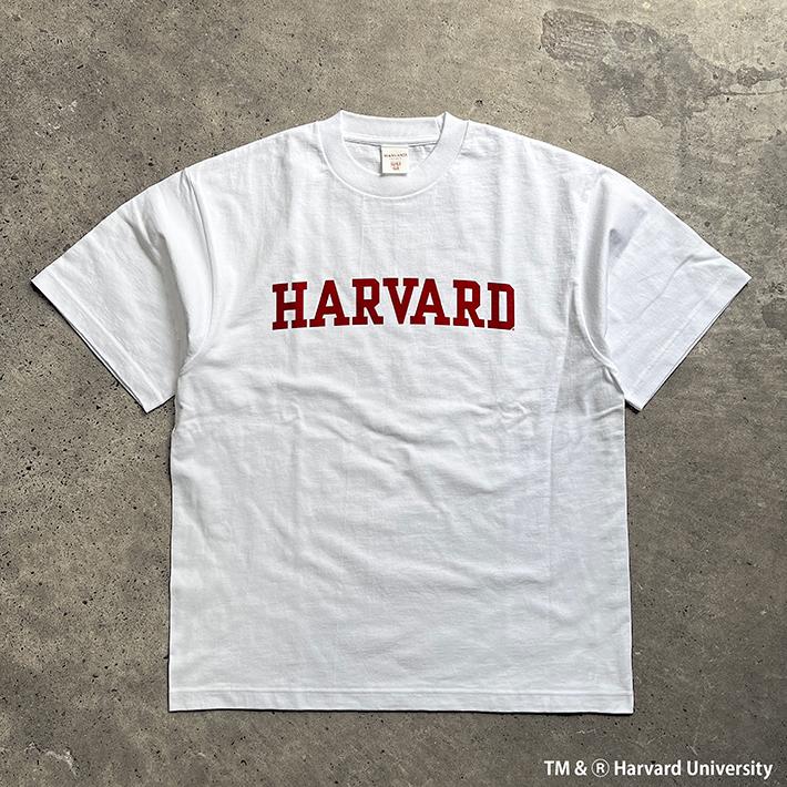 HARVARD ハーバード Over-Sized College T-Shirt ビッグシルエット カレッジ Tシャツ 7.1oz ラギットT メンズ レディース カレッジ ロゴ アメカジ ブランド | UCLA | 06