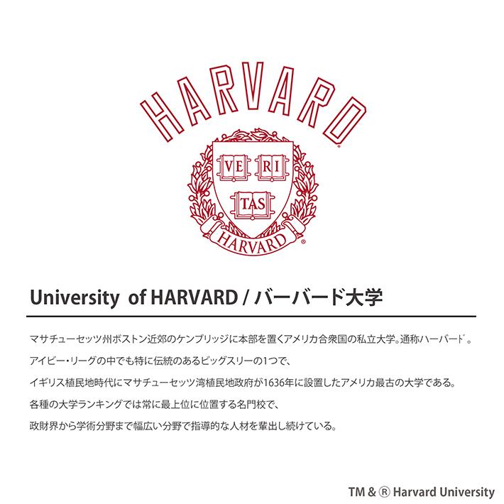 HARVARD ハーバード Over-Sized College T-Shirt ビッグシルエット カレッジ Tシャツ 7.1oz ラギットT メンズ レディース カレッジ ロゴ アメカジ ブランド | UCLA | 08