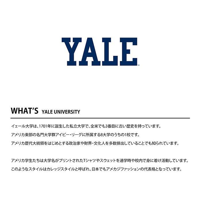 YALE / イエール大学 KNIT WATCH (YLAG-044) ニットワッチ ニット帽 ニット帽子 メンズ レディース カレッジ ロゴ アメカジ スポーツ アイビー リーグ ブランド | UCLA | 05