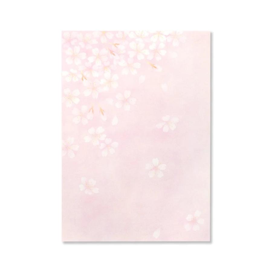 G.C.PRESS　レターセット　サクラレター　035-12｜文房具 桜柄 櫻 サクラ ピンク 和風 花柄 |  | 02