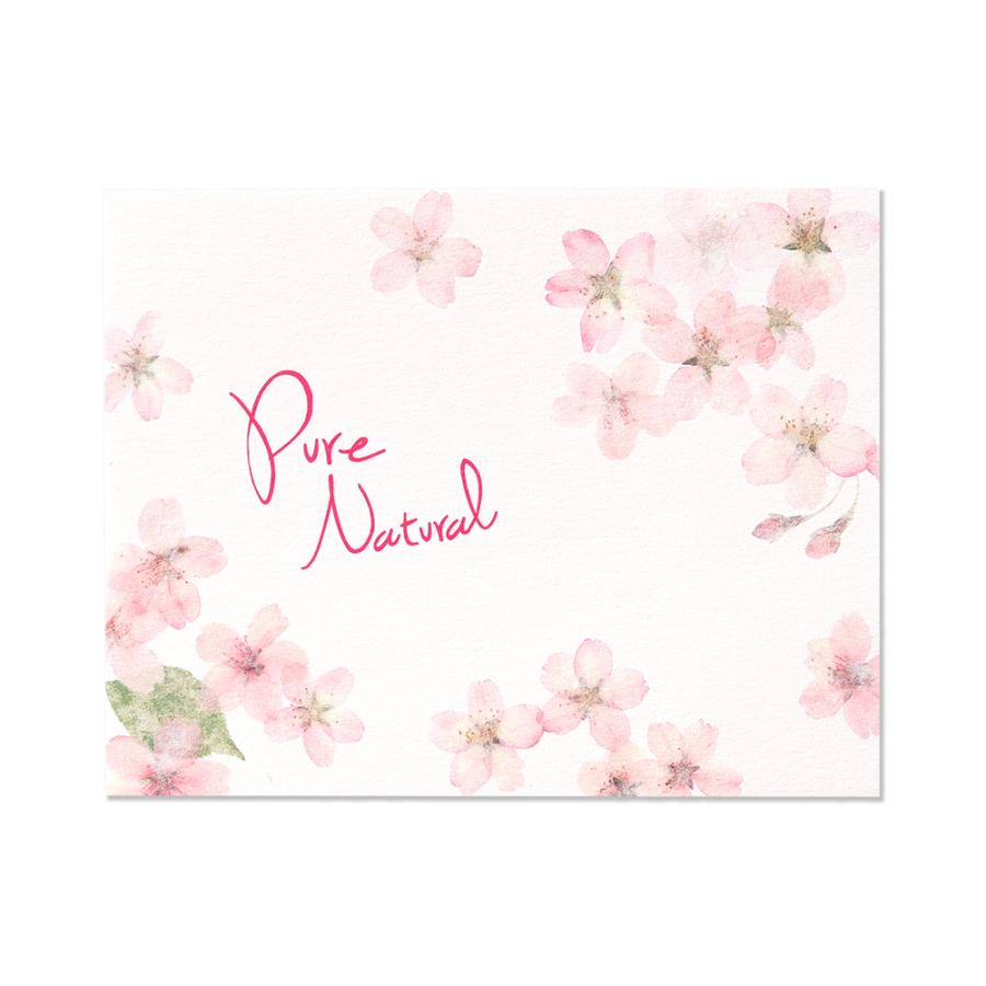 G.C.PRESS　ふみ揃え便箋　ピュアナチュラル桜　083-40｜文房具 手紙 桜 花柄 春 ギフト | 