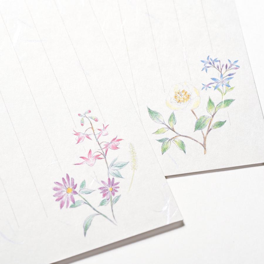 G.C.PRESS　はがき箋　紙司撰　野の花　248-40｜文房具 葉書 タテ罫線 花柄 伊予和紙 |  | 08