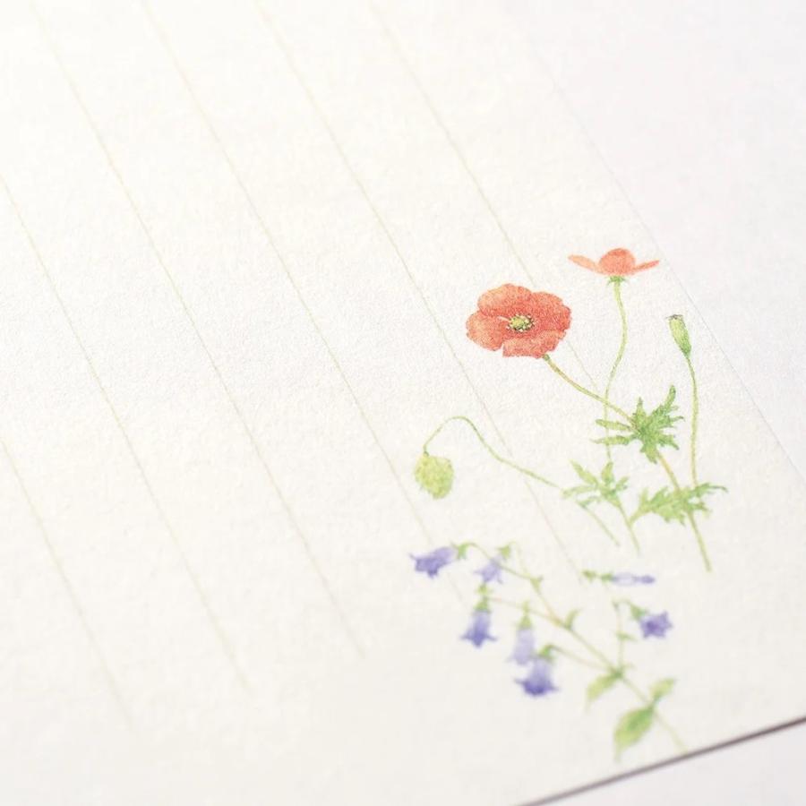 G.C.PRESS　一筆箋　紙司撰　野花色々　タテ罫　249-44｜文房具 和風 和紙 水彩画 新緑 野花 野草 草花 植物 |  | 06