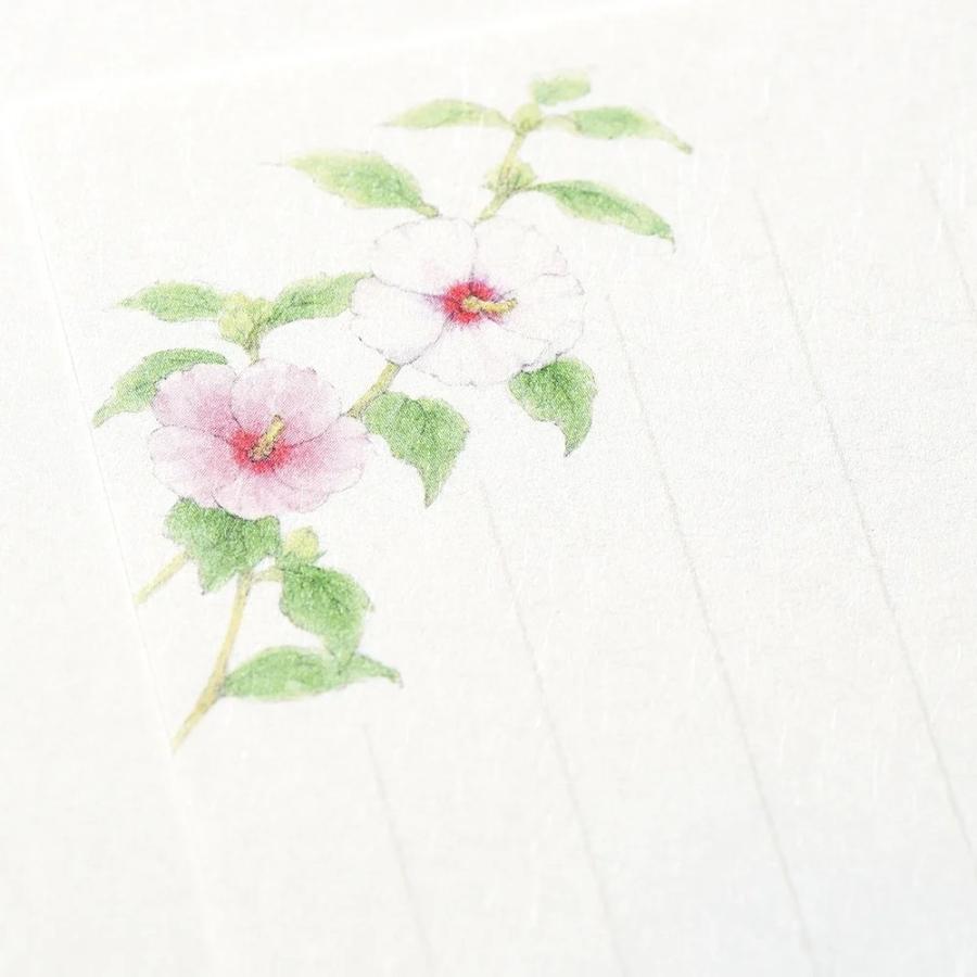 G.C.PRESS　一筆箋　紙司撰　夏花の一筆箋　249-48｜文房具 和風 和紙 水彩画 夏の植物 向日葵 朝顔 お中元 添え状 |  | 05