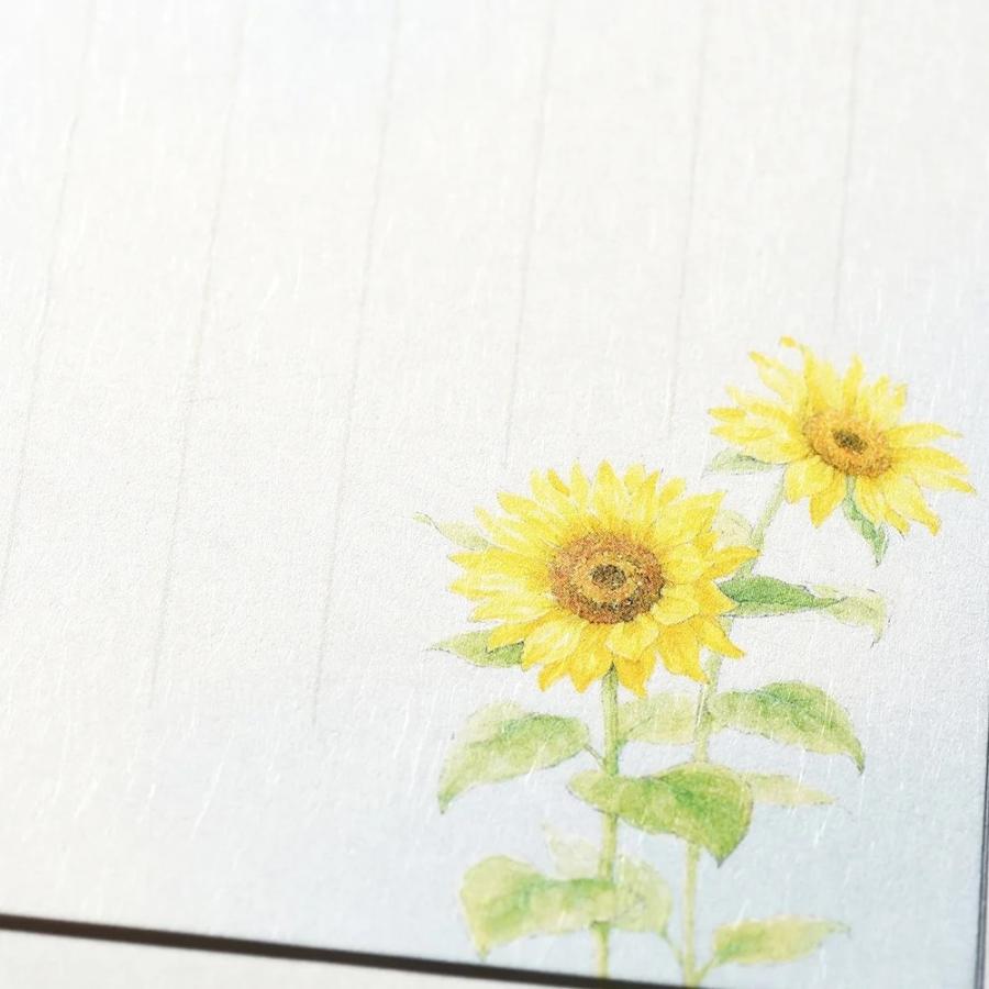 G.C.PRESS　一筆箋　紙司撰　夏花の一筆箋　249-48｜文房具 和風 和紙 水彩画 夏の植物 向日葵 朝顔 お中元 添え状 |  | 06