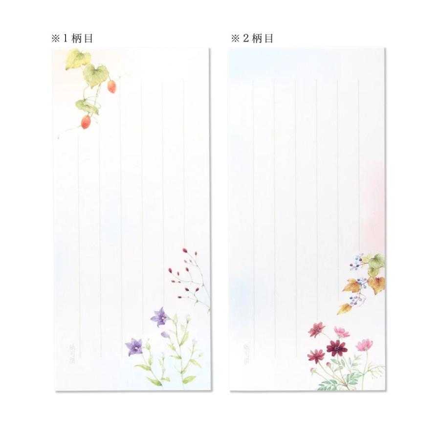 G.C.PRESS　一筆箋　紙司撰　秋花の一筆箋　249-49｜文房具 和風 和紙 水彩画 秋の植物 秋桜 紅葉 木の実 添え状 |  | 01