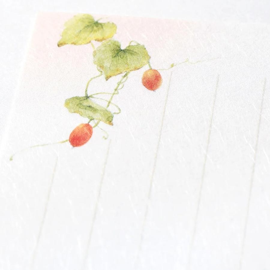 G.C.PRESS　一筆箋　紙司撰　秋花の一筆箋　249-49｜文房具 和風 和紙 水彩画 秋の植物 秋桜 紅葉 木の実 添え状 |  | 04