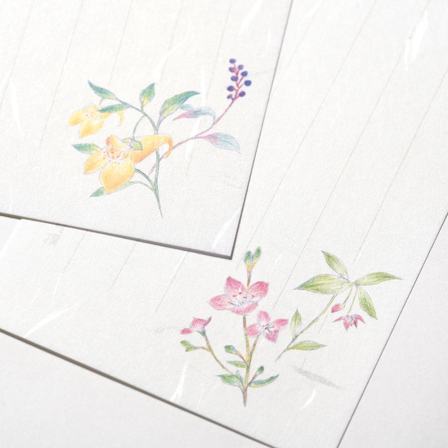 G.C.PRESS　一筆箋　紙司撰　野の花　249-53｜文房具 便箋 お中元 お歳暮 伊予和紙 和柄 花柄 イラスト |  | 08