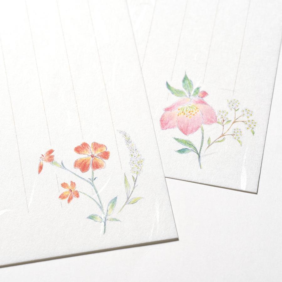 G.C.PRESS　一筆箋　紙司撰　野の花　249-53｜文房具 便箋 お中元 お歳暮 伊予和紙 和柄 花柄 イラスト |  | 09