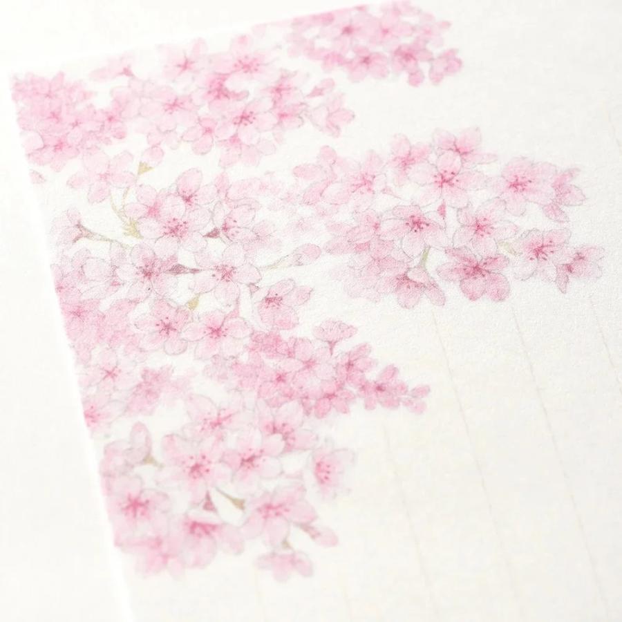 G.C.PRESS　便箋　紙司撰　さくらだより　256-26 |  | 03