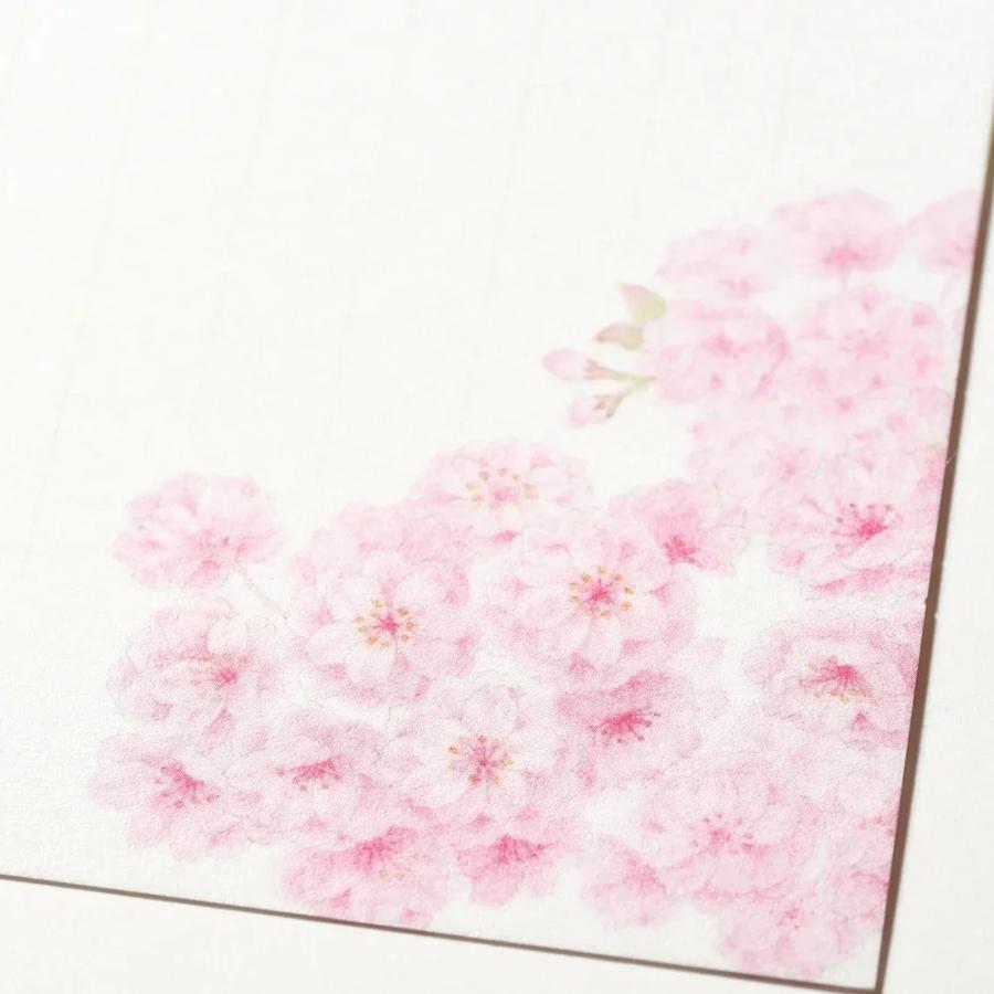 G.C.PRESS　便箋　紙司撰　さくらだより　256-26 |  | 04