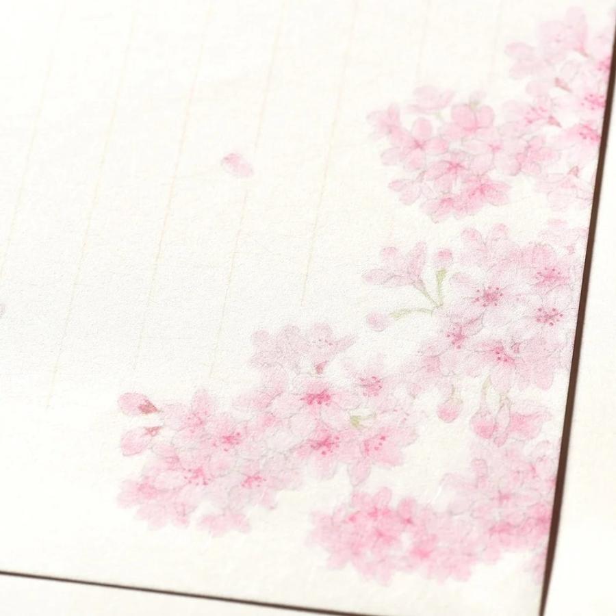 G.C.PRESS　便箋　紙司撰　さくらだより　256-26 |  | 06