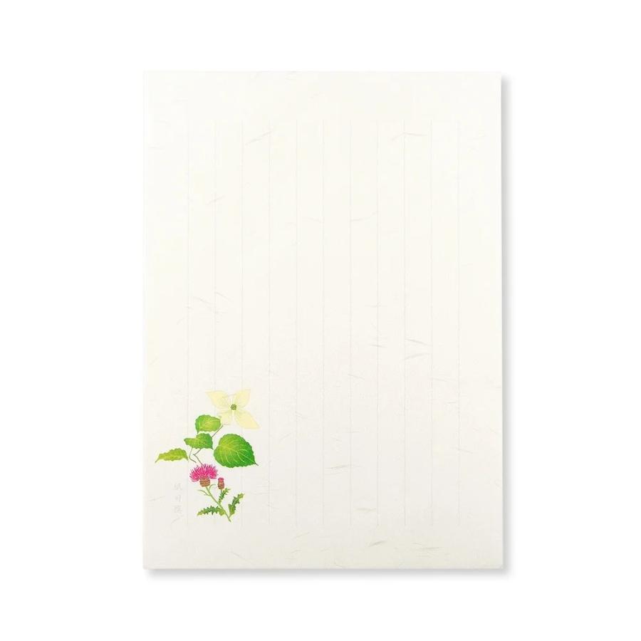 G.C.PRESS　便箋　紙司撰　野ノ花罫箋　261-36 |  | 04