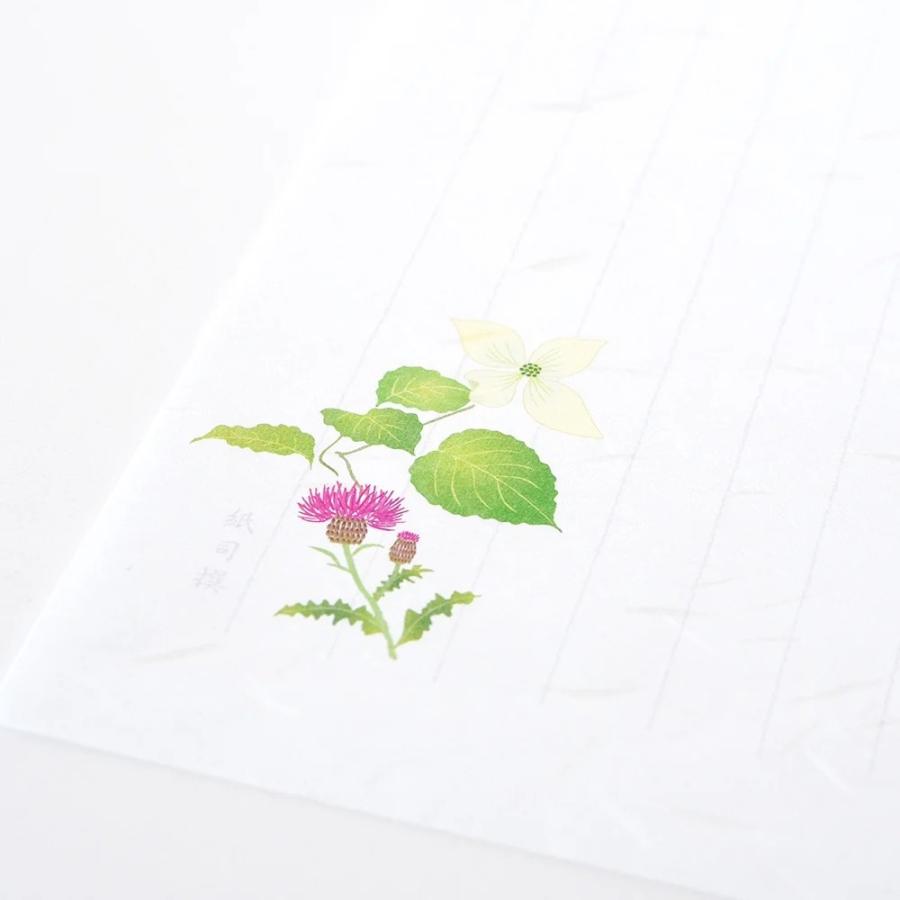 G.C.PRESS　便箋　紙司撰　野ノ花罫箋　261-36 |  | 08