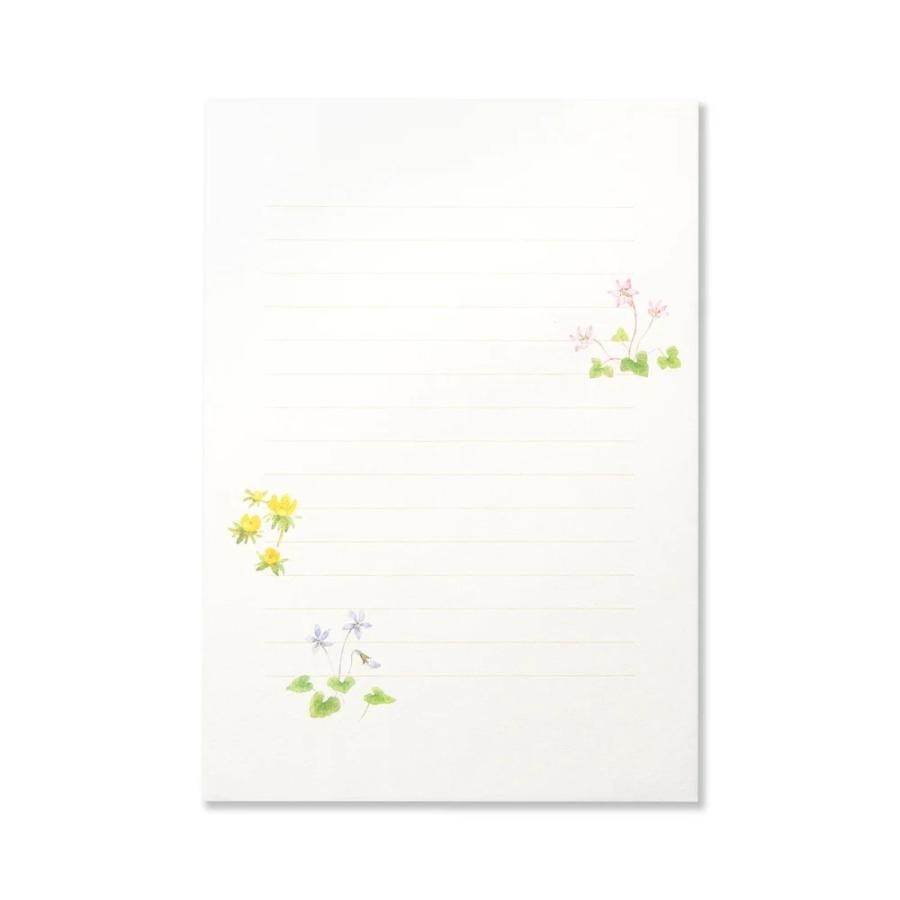 G.C.PRESS　便箋　紙司撰　野花色々　261-42 |  | 01