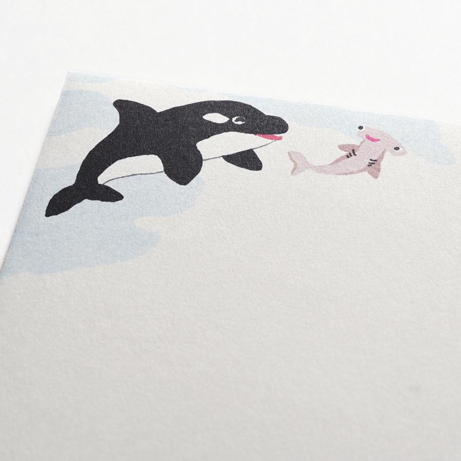 G.C.PRESS　ミニレターパッド封筒　ストーリー　オブ　ザ　シー　304-17｜文房具 レターセット 手紙 海 魚 珊瑚 ジンベイザメ |  | 02