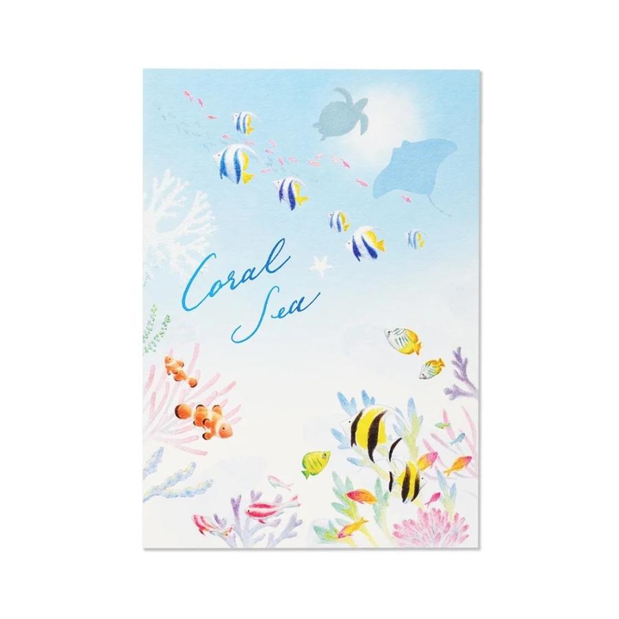 G.C.PRESS　便箋　コーラル　シー　405-42｜文房具 オーシャン 夏柄 海モチーフ 熱帯魚 summer リゾート | 