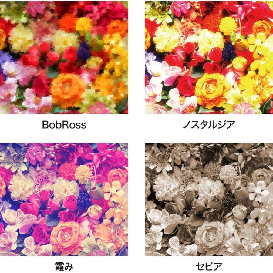 ACDSee Photo Studio Home 2020 4540442047295アクティブサポート 通販 Yahoo!ショッピング