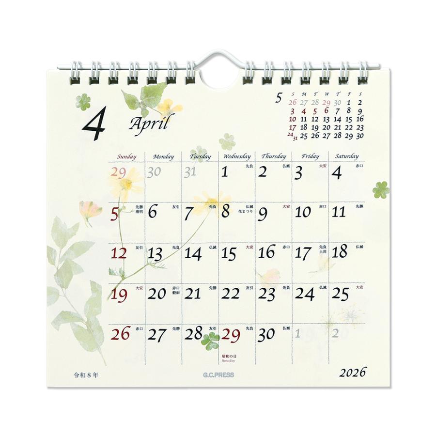 G.C.PRESS　2026カレンダー　ピュアナチュラル　卓上・壁掛　803-64｜押し花 草花 木の葉 西暦 和暦 六曜 二十四節気 雑節 |  | 04