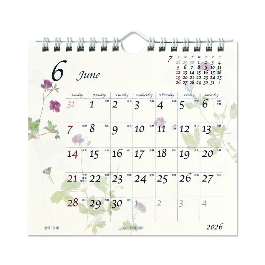 G.C.PRESS　2026カレンダー　ピュアナチュラル　卓上・壁掛　803-64｜押し花 草花 木の葉 西暦 和暦 六曜 二十四節気 雑節 |  | 06