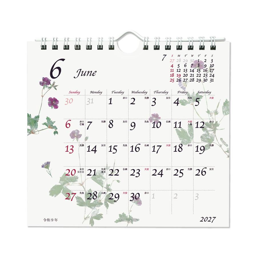 G.C.PRESS　2027カレンダー　ピュアナチュラル　卓上・壁掛　803-77｜押し花 草花 木の葉 西暦 和暦 六曜 二十四節気 雑節 |  | 06