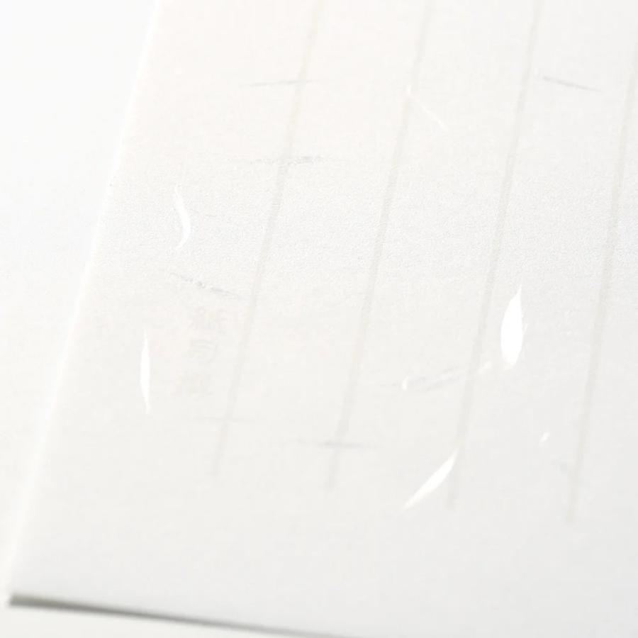 G.C.PRESS　便箋/封筒セット　紙司撰　銀雲淡色箋　タテ罫 |  | 04