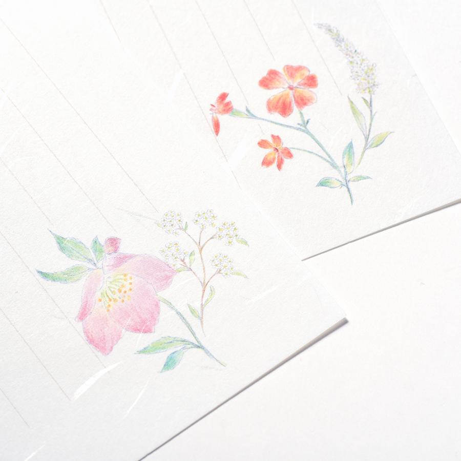 G.C.PRESS　便箋/封筒セット　紙司撰　野の花｜文房具 和紙 シール付き |  | 10
