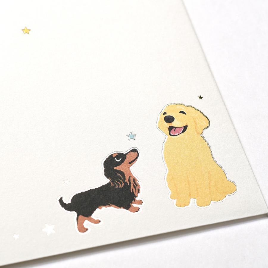 G.C.PRESS　便箋/封筒セット　マイドッグ　ヨコ罫｜文房具 レターセット 手紙 犬 トイプードル ダックスフント 箔押し |  | 13